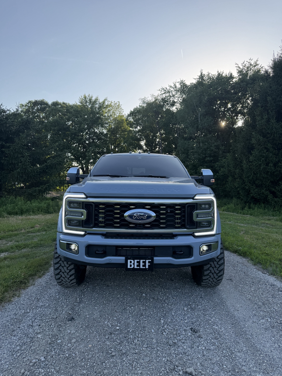 2025 FORD F-450 PLATINUM 照片 6