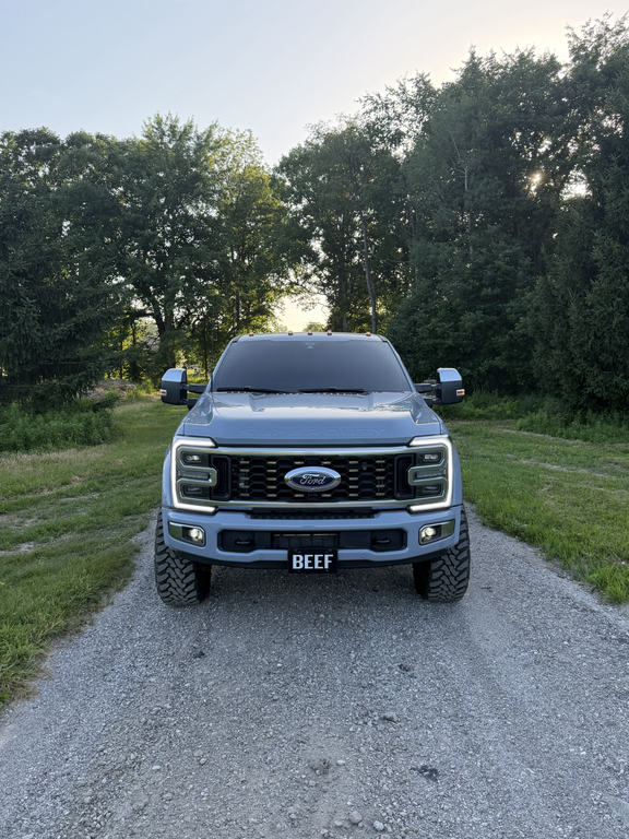 2025 FORD F-450 PLATINUM 照片 7