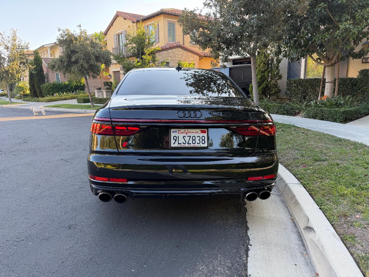2023 AUDI S8 4.0T 照片 6