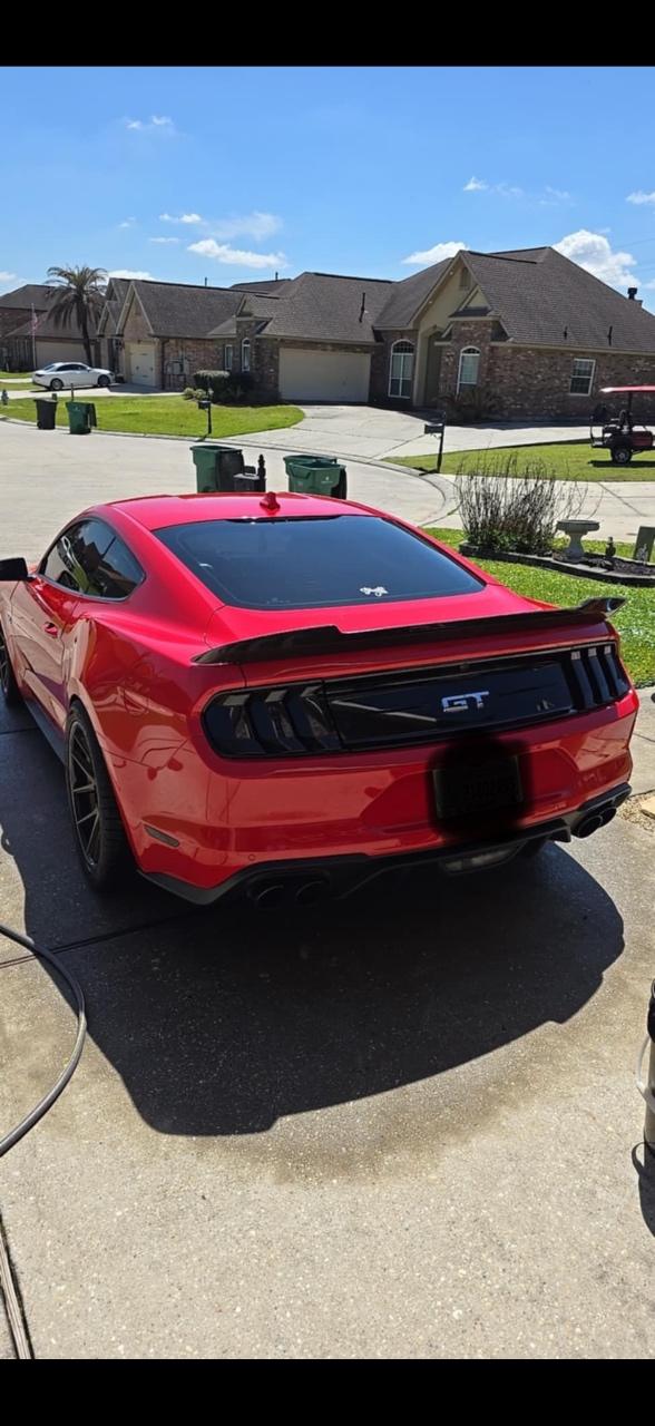 2020 FORD MUSTANG GT 照片 4