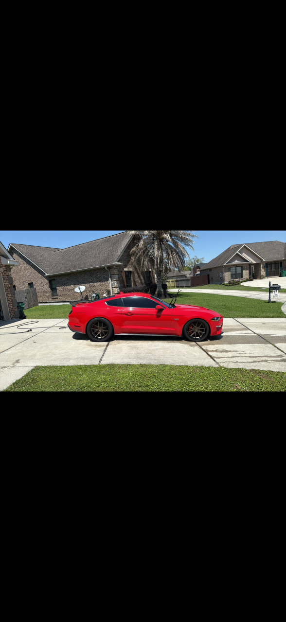 2020 FORD MUSTANG GT 照片 2