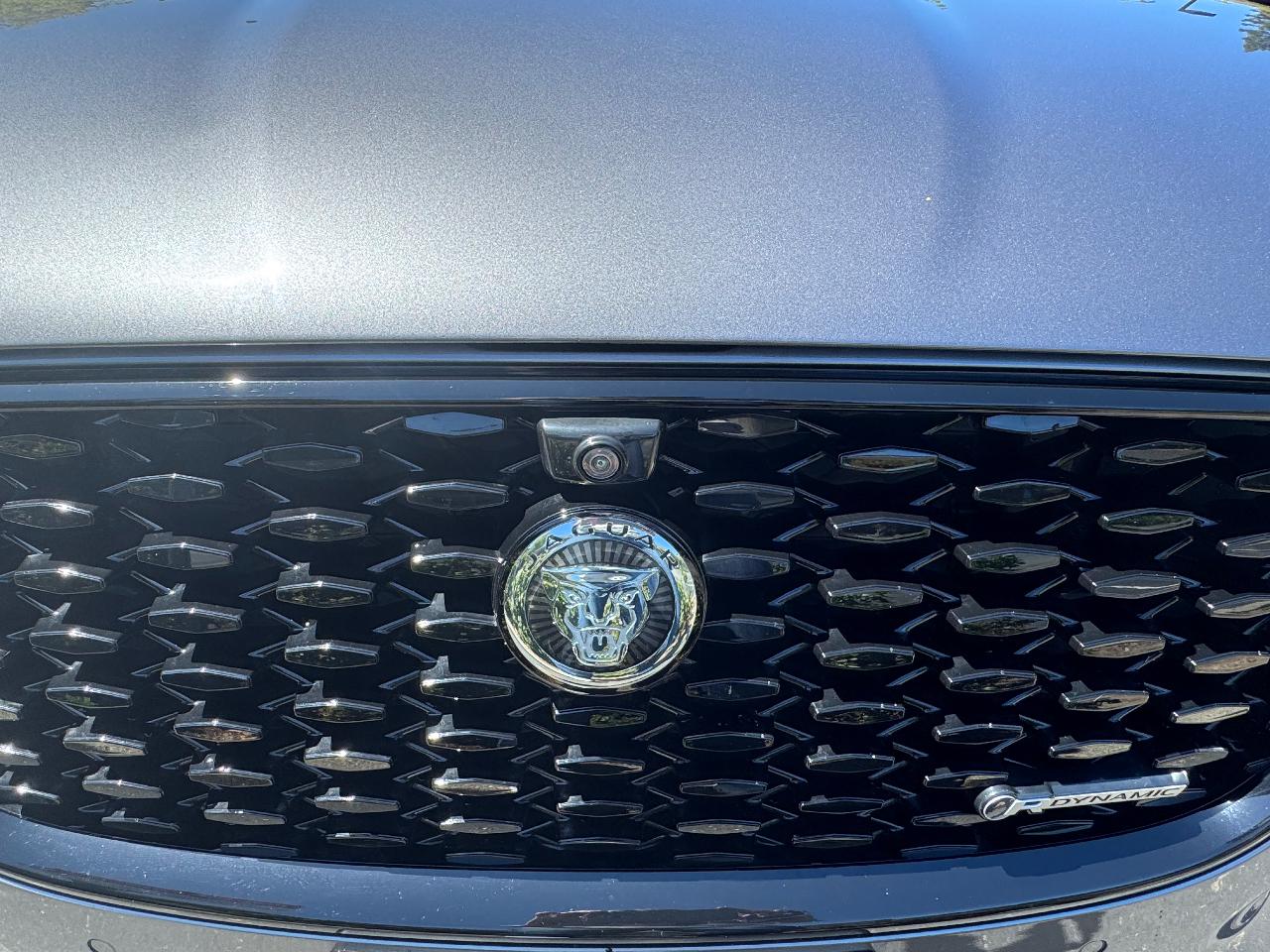 2024 Jaguar F-PACE P250 R-DYNAMIC S — миниатюра 14