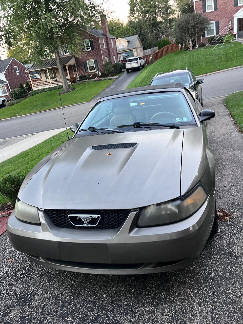 Used Ford Mustang for Sale Under $5,000 Near Me | Cars.com