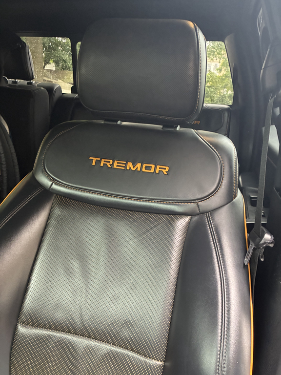 2021 FORD F-150 TREMOR 照片 6