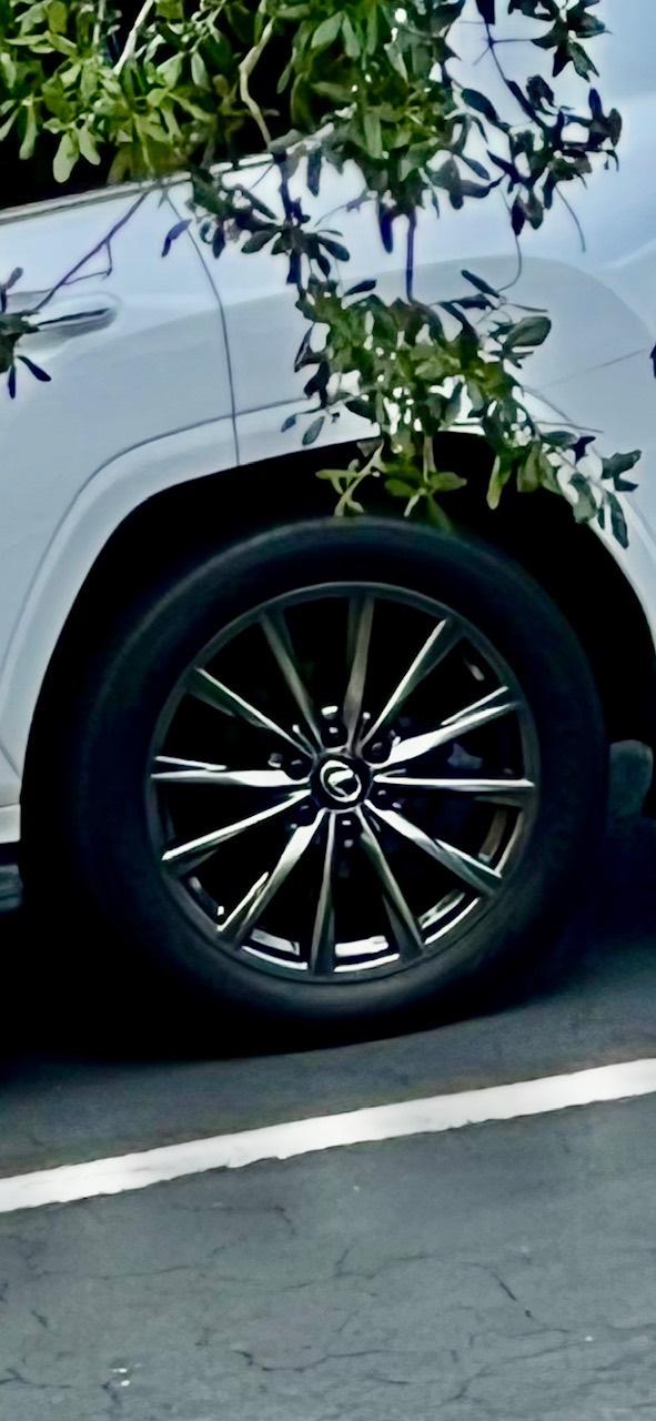 2024 Lexus LX 600 F SPORT HANDLING 照片 9
