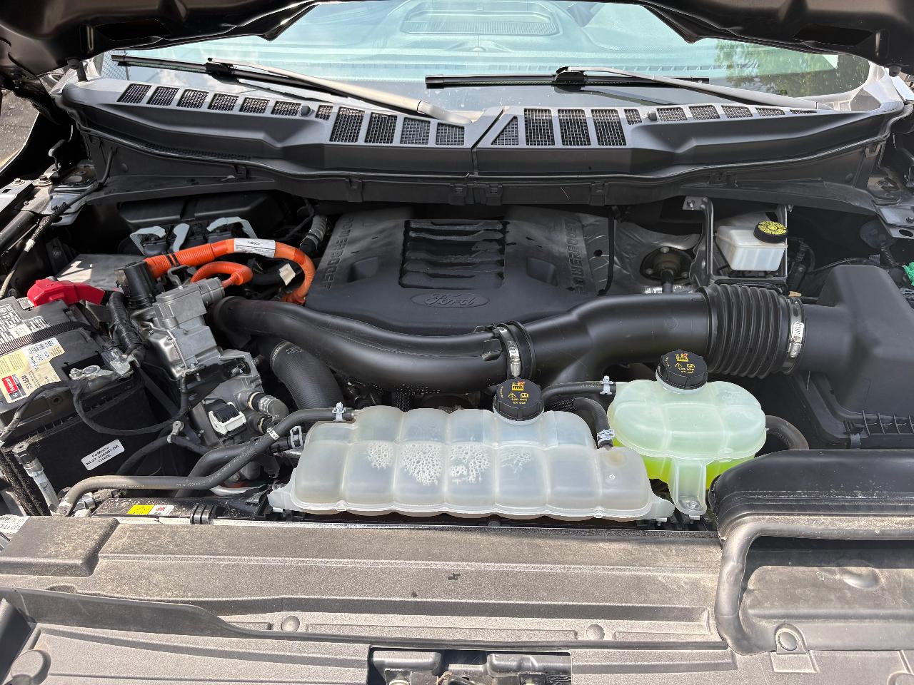 صورة 9 لـ 2023 FORD F-150 XLT