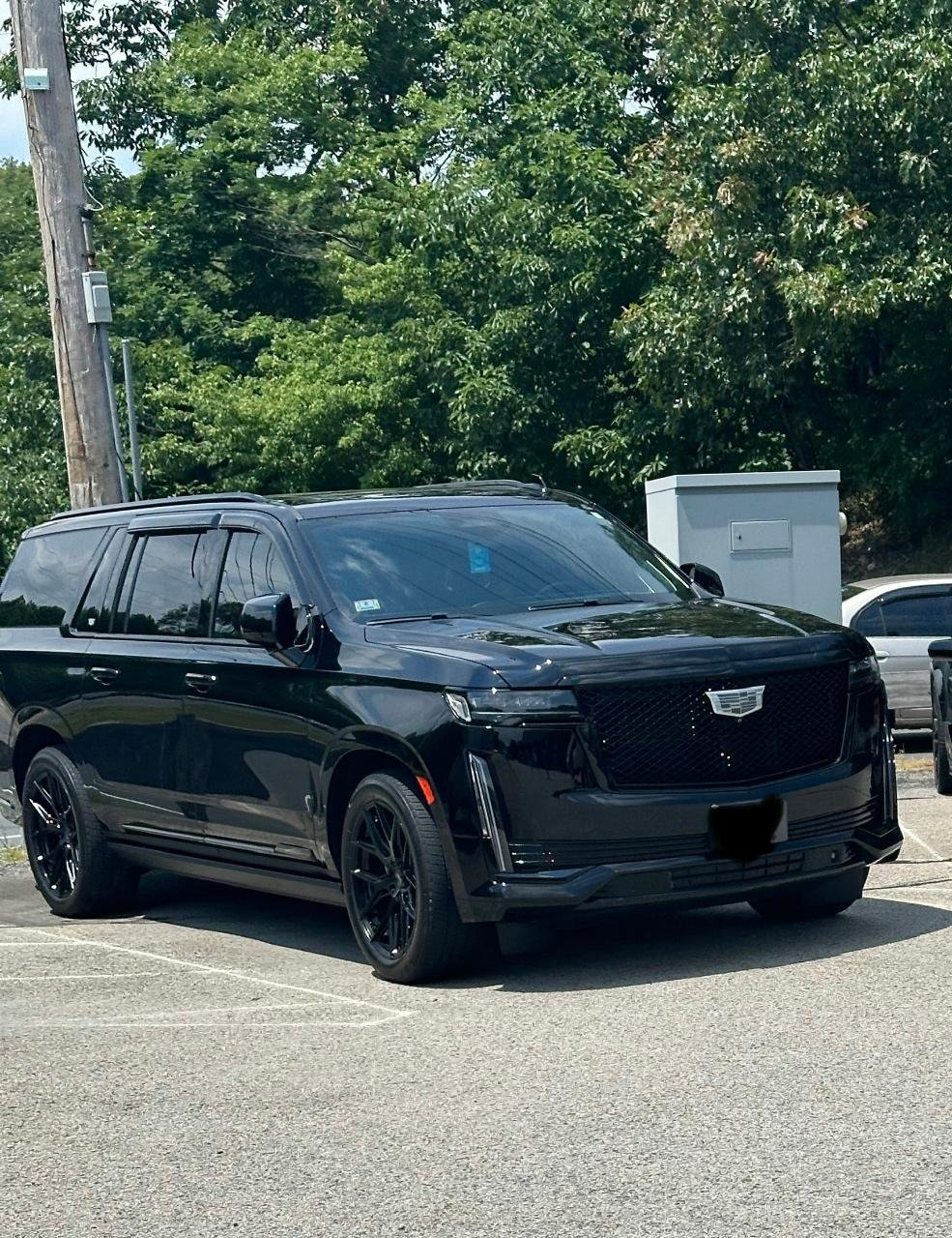 2022 Cadillac ESCALADE ESV SPORT PLATINUM 照片 10
