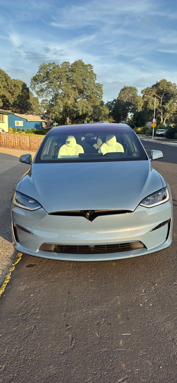 TESLA MODEL X PLAID - 1