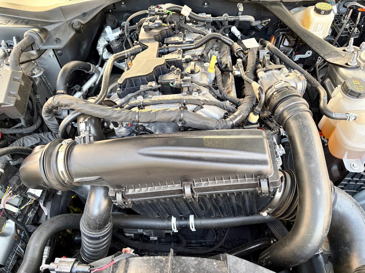 صورة مصغرة 18 لـ 2024 FORD MUSTANG ECOBOOST PREMIUM