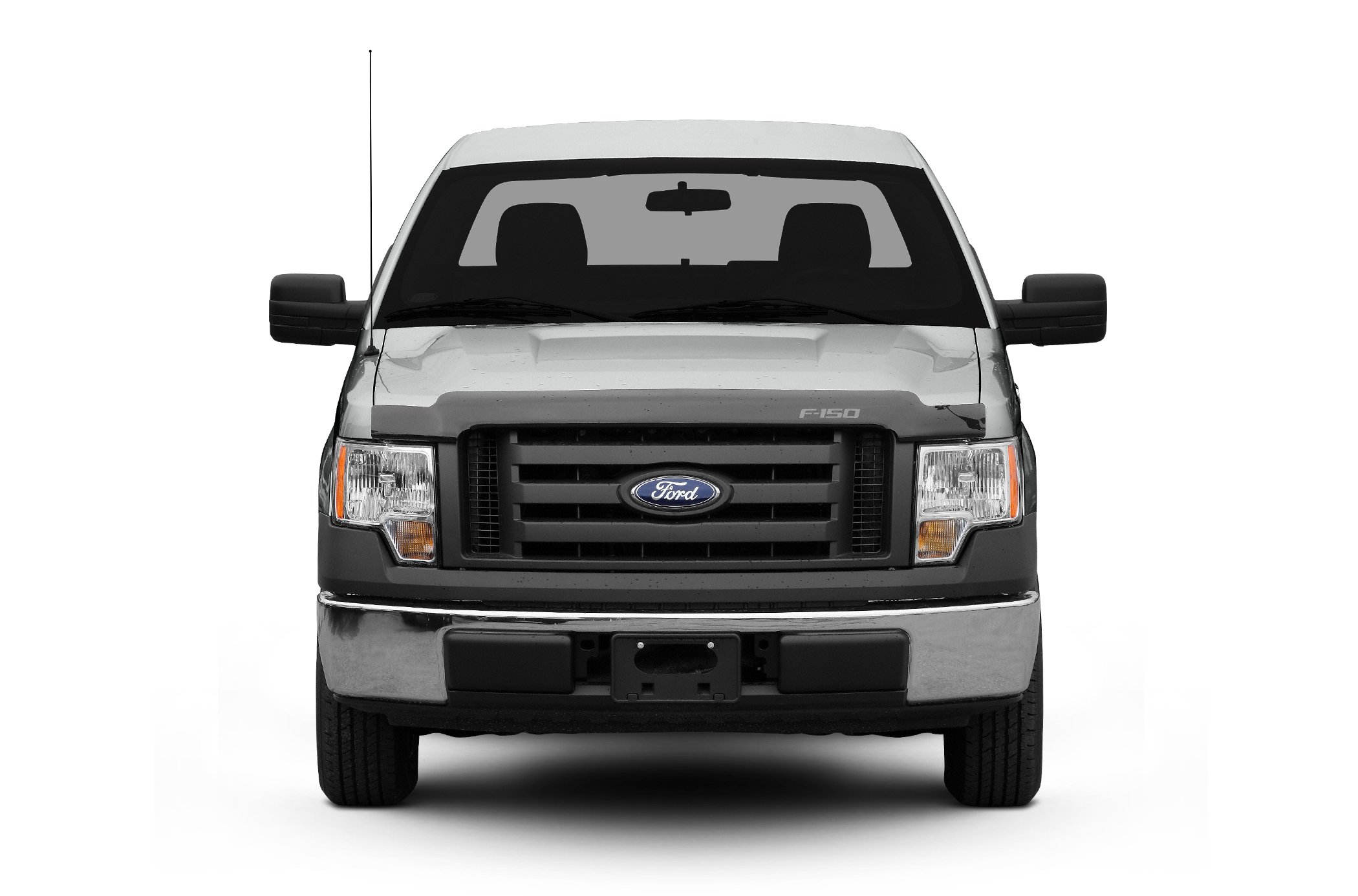 2009 Ford F-150