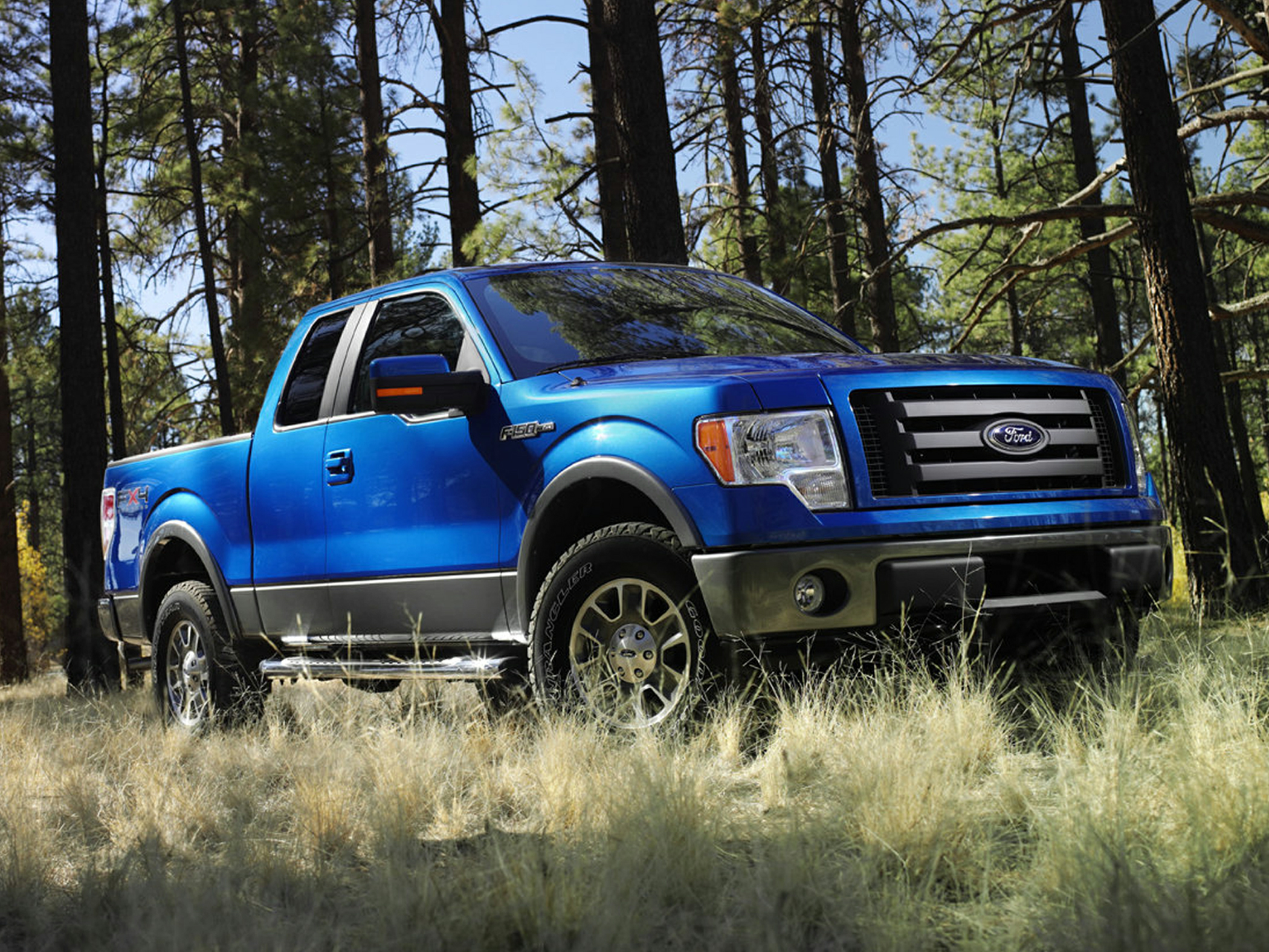 2010 Ford F-150