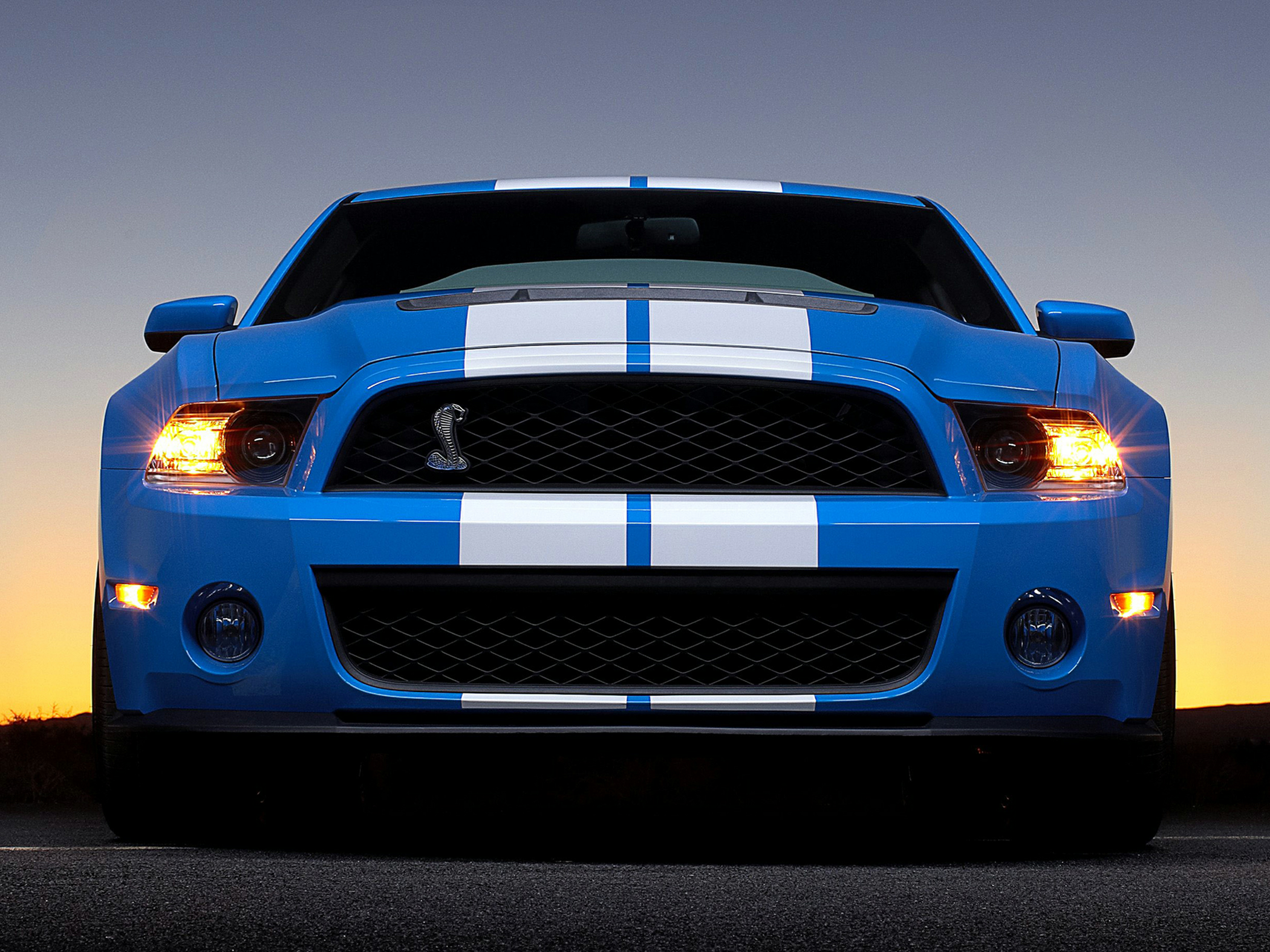 2010 Ford Mustang