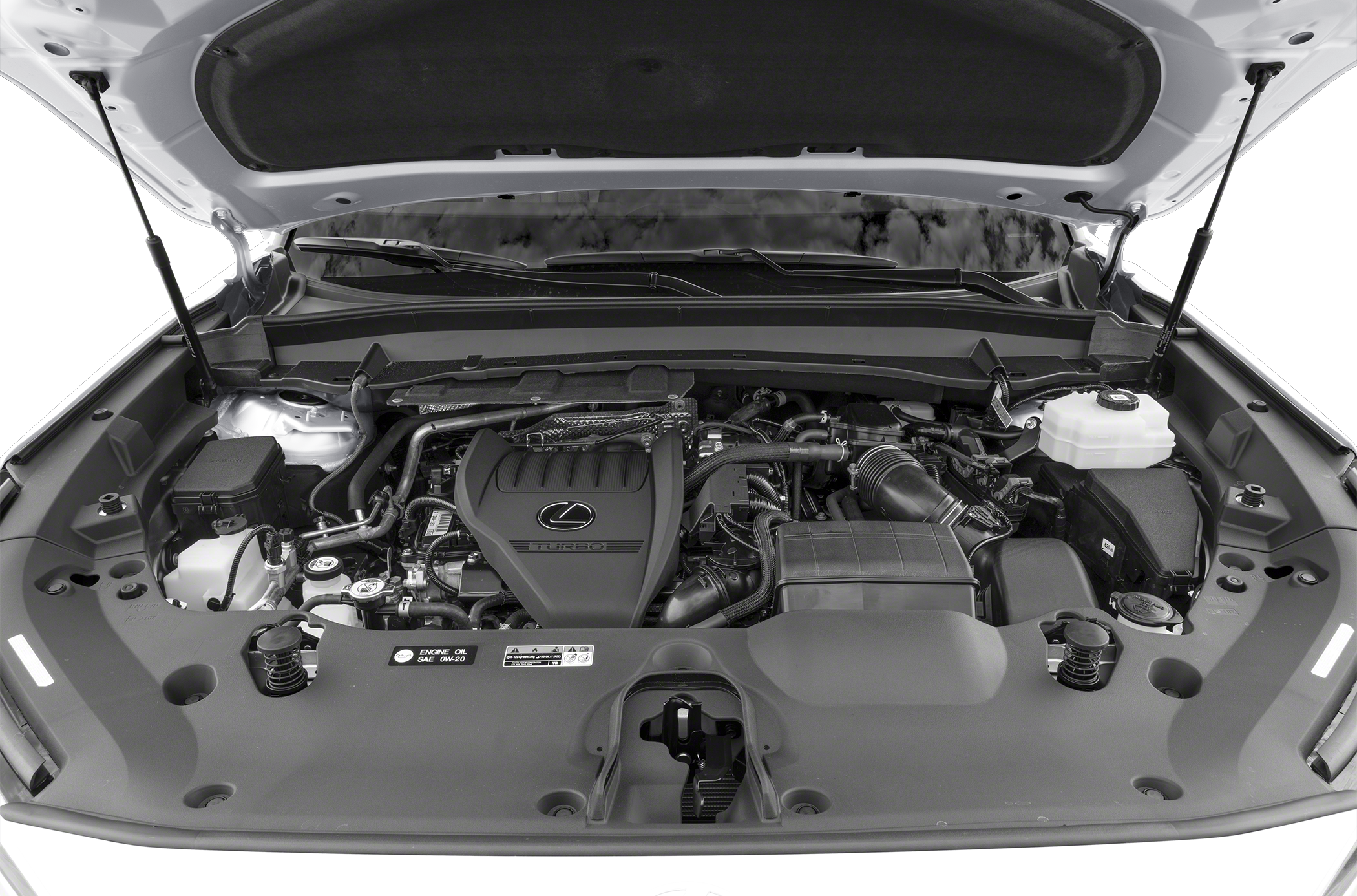 2025 Lexus TX 500h