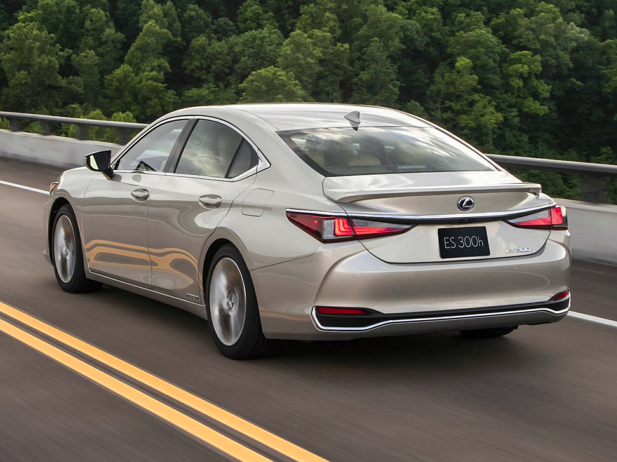 2019 Lexus ES 300h