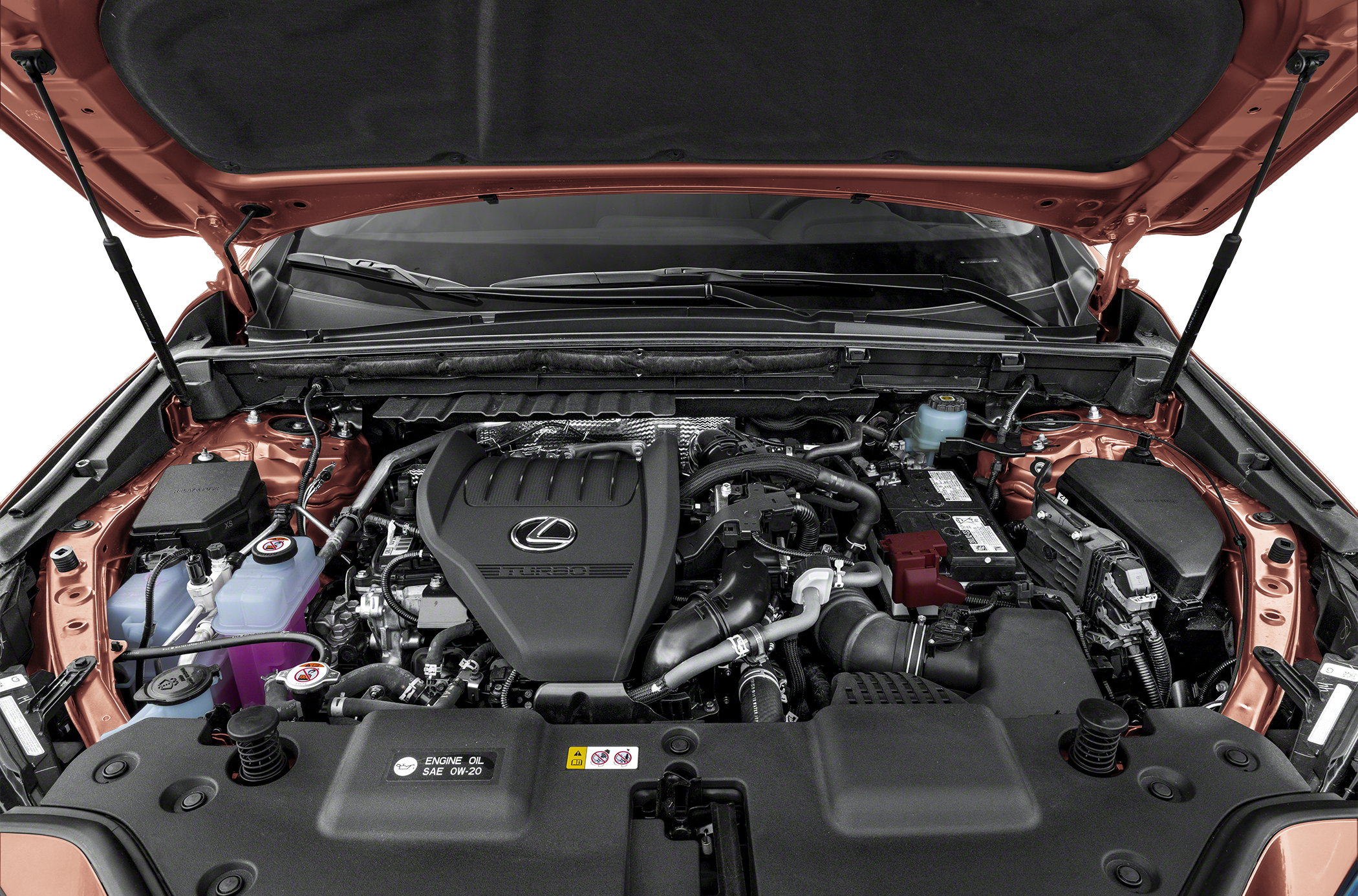 2025 Lexus NX 350