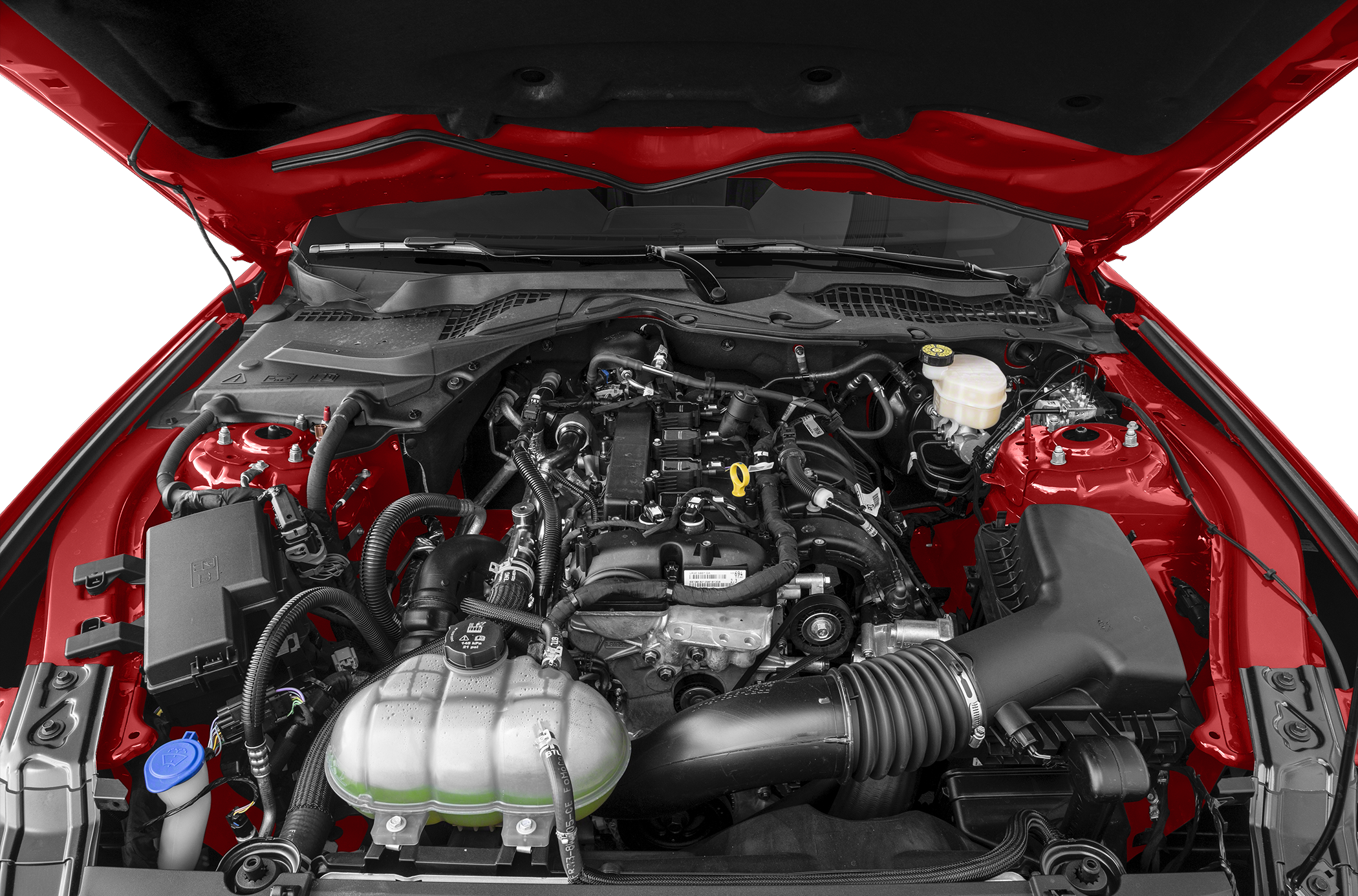 2023 Ford Mustang