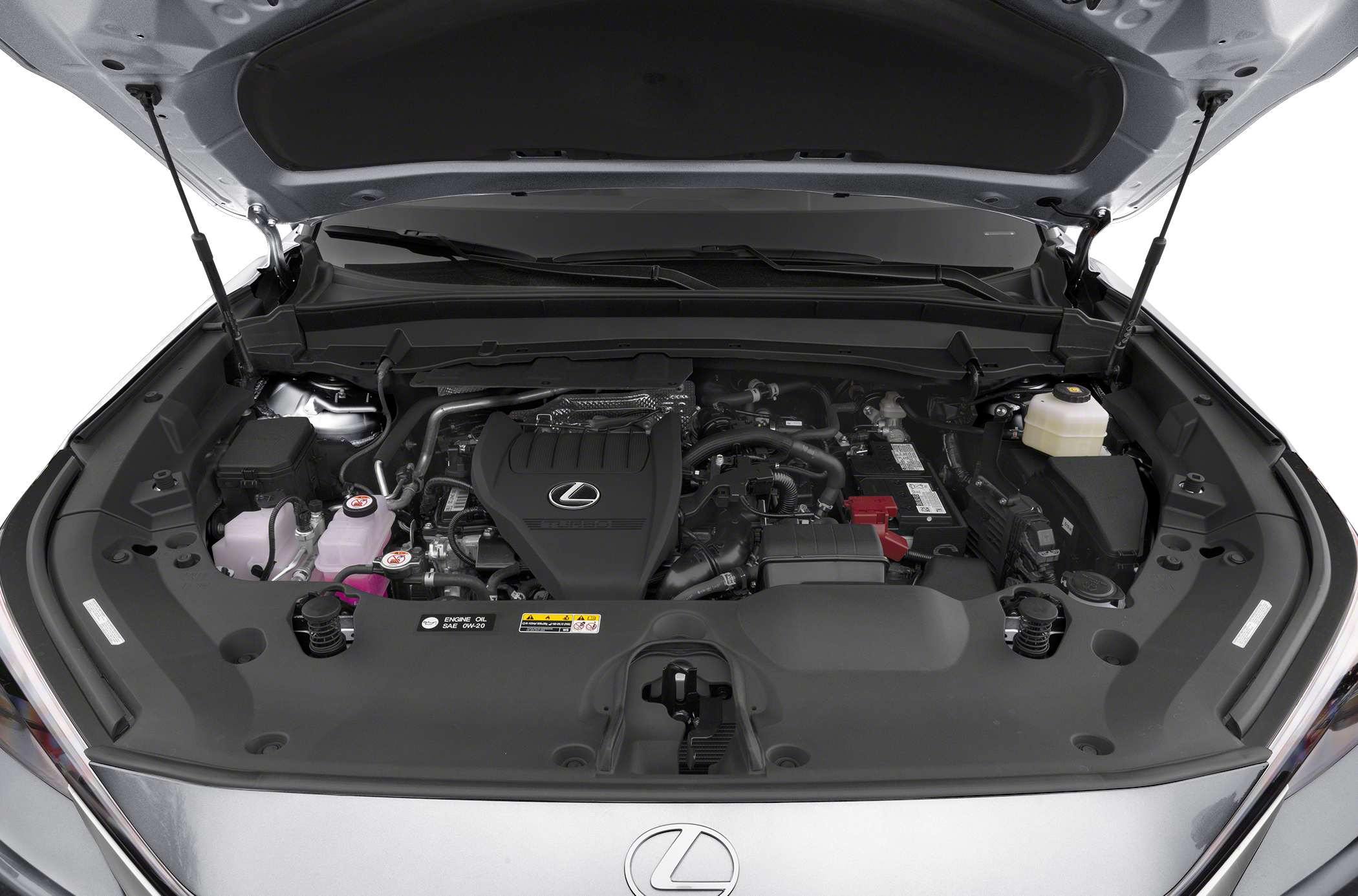 2024 Lexus TX 350