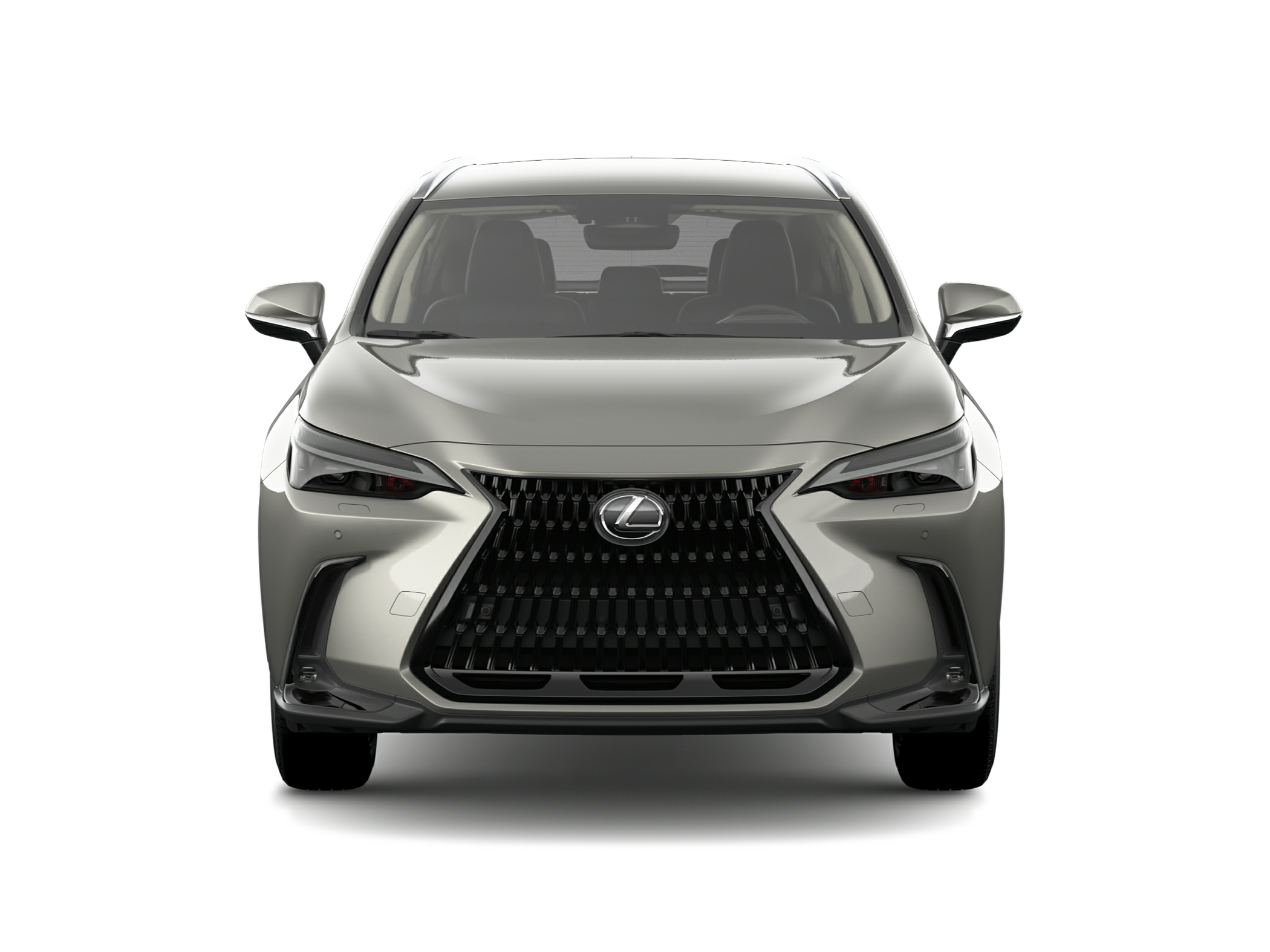 2024 Lexus NX 250