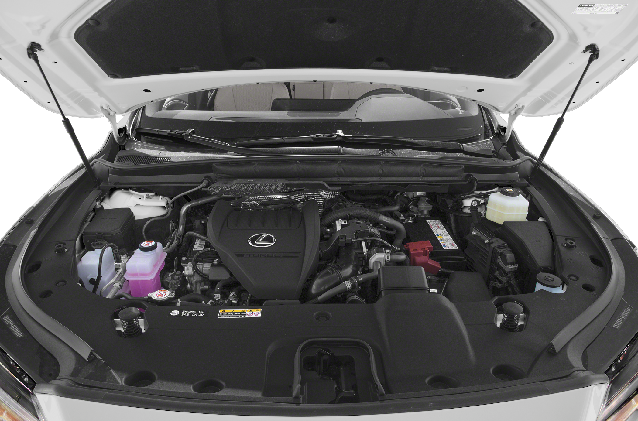 2024 Lexus RX 350