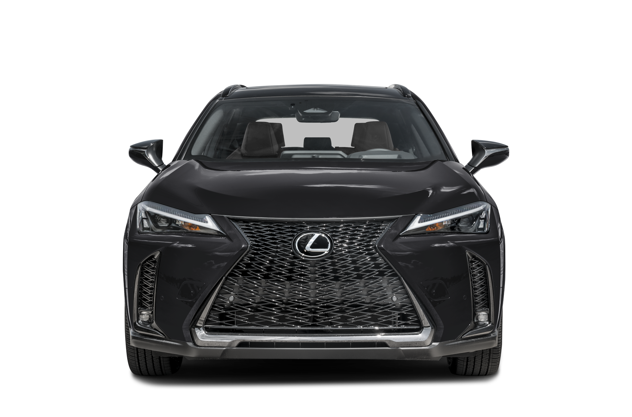 2025 Lexus UX 300h