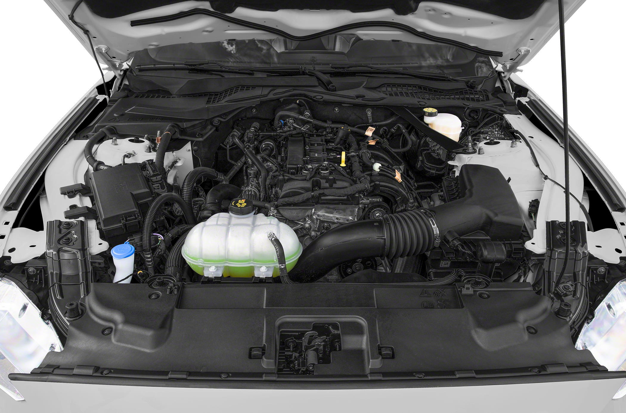 2022 Ford Mustang