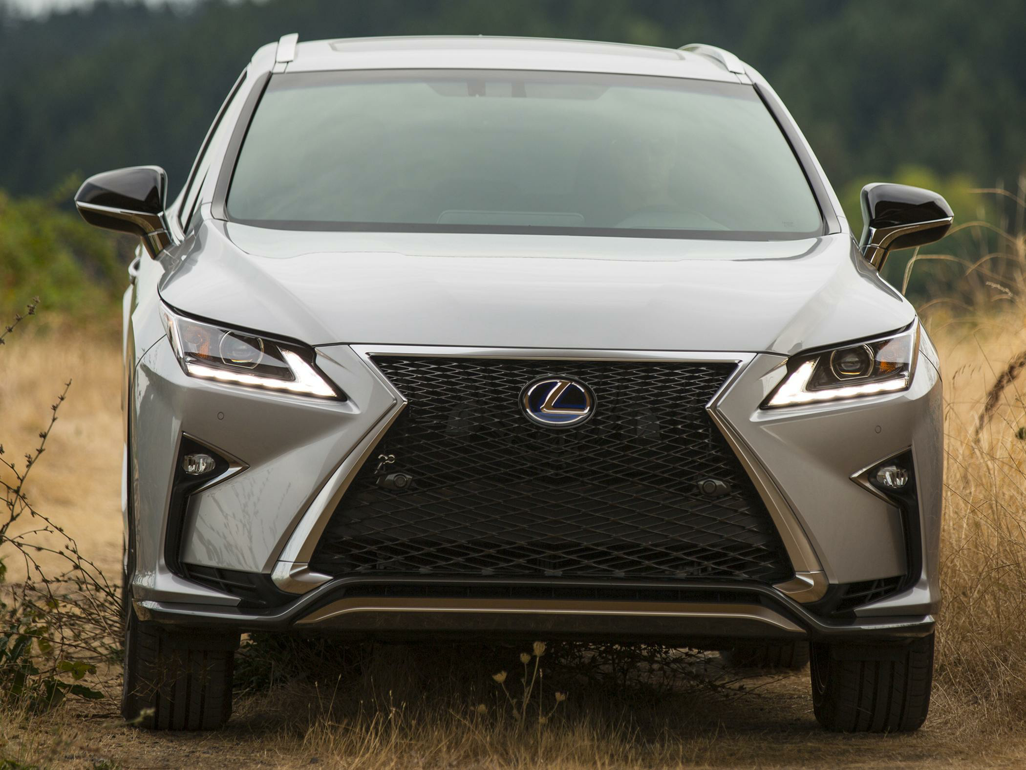 2019 Lexus RX 450h