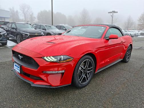 2023 Ford Mustang EcoBoost