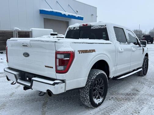 2022 Ford F-150 Tremor