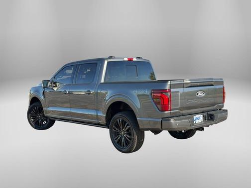 Gray Metallic 2025 Ford F-150 Platinum