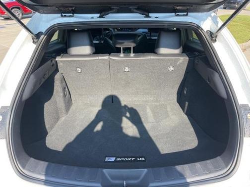 2020 Lexus UX 200 F Sport