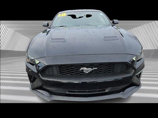 2019 Ford Mustang EcoBoost