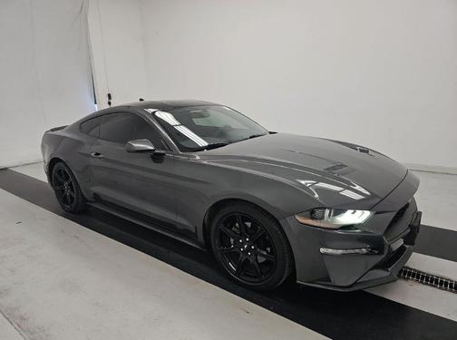 Magnetic Metallic 2020 Ford Mustang EcoBoost