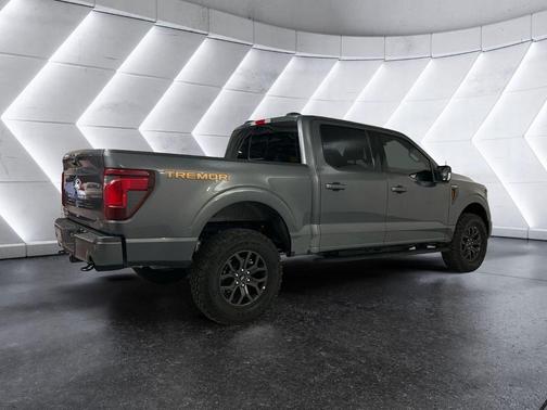 Gray 2025 Ford F-150 Tremor