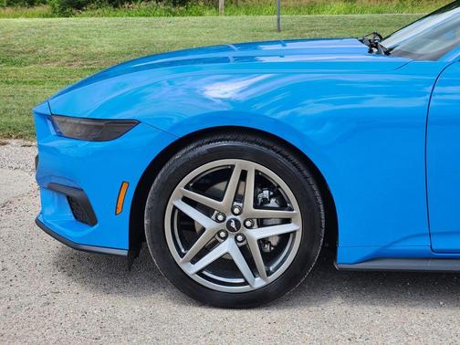 Grabber Blue 2025 Ford Mustang EcoBoost Premium