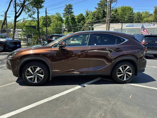 Autumn Shimmer 2019 Lexus NX 300 F Sport