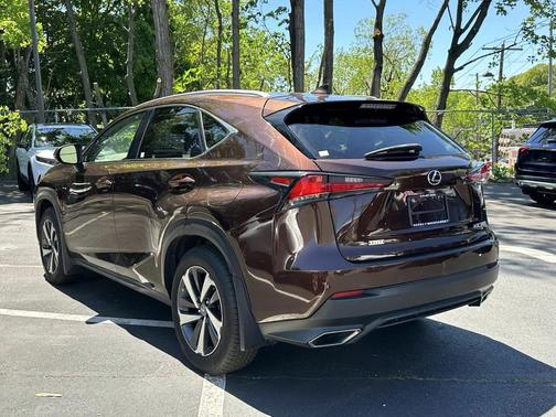Autumn Shimmer 2019 Lexus NX 300 F Sport