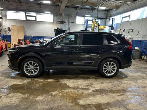2025 Honda CR-V EX-L AWD