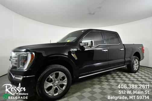2021 Ford F-150 Platinum
