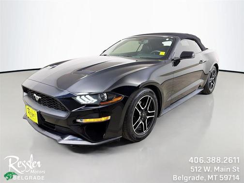 Shadow Black 2019 Ford Mustang EcoBoost Premium