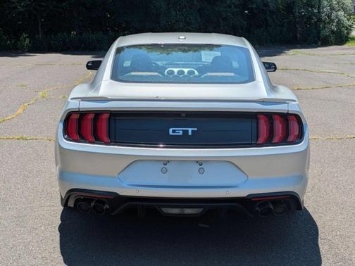 Ingot Silver Metallic 2019 Ford Mustang GT Premium