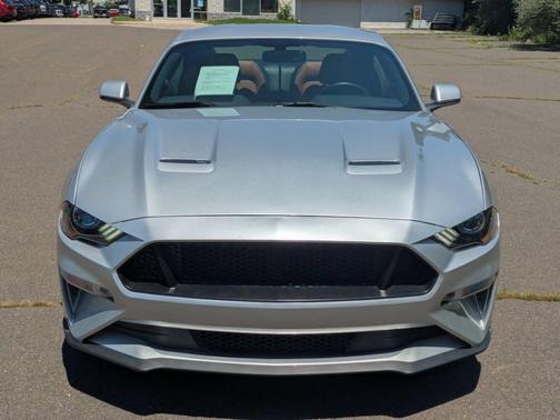 Ingot Silver Metallic 2019 Ford Mustang GT Premium