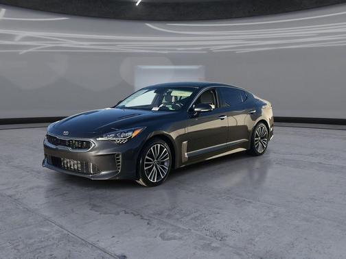 Panthera Metal 2019 Kia Stinger