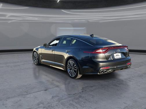 Panthera Metal 2019 Kia Stinger