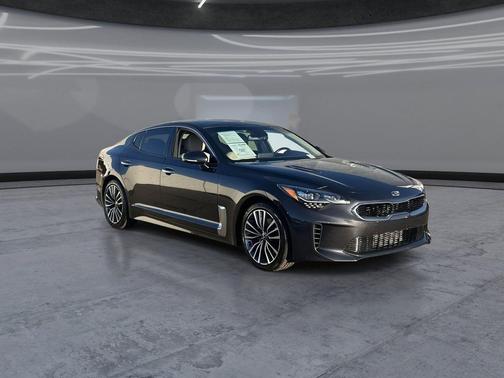 Panthera Metal 2019 Kia Stinger