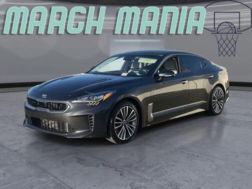 Panthera Metal 2019 Kia Stinger