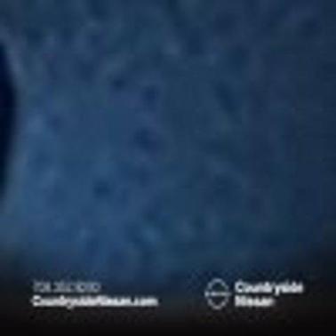 2013 Volkswagen CC 3.6L VR6 Lux