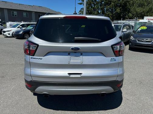 Spruce Green 2018 Ford Escape SEL