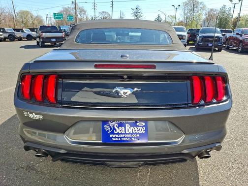 Magnetic Metallic 2019 Ford Mustang EcoBoost Premium