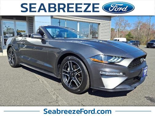 Magnetic Metallic 2019 Ford Mustang EcoBoost Premium