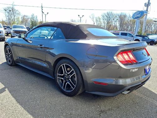 Magnetic Metallic 2019 Ford Mustang EcoBoost Premium